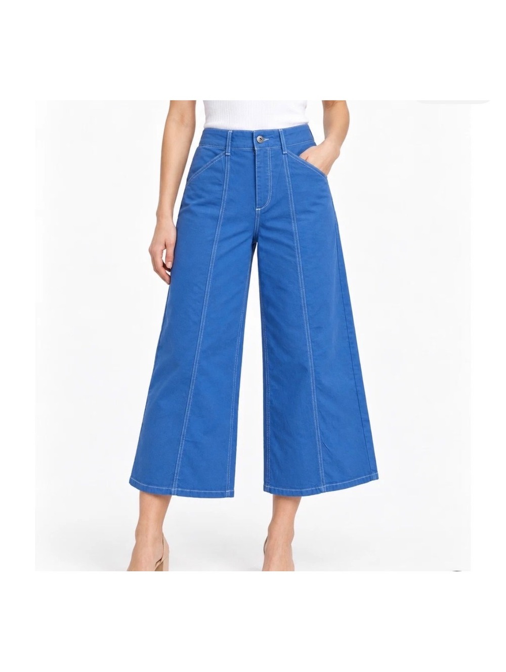 Maeve Blue Wide Leg Cropped Pants Size 27